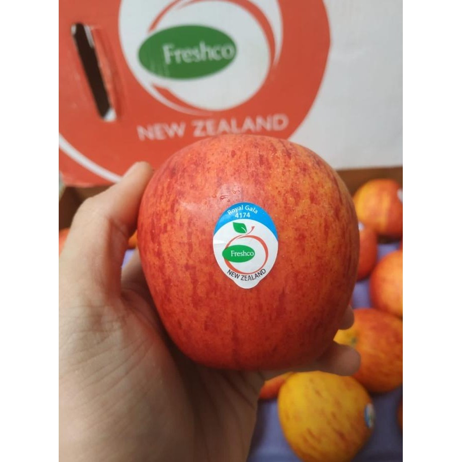 

Grosir Apel Royal Gala New Zealand 1 Dus (17 Kg) Fresh Import