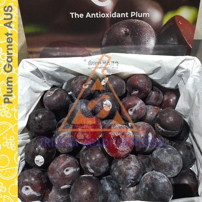 

Murah Plum Garnet Aussie 1 Kg