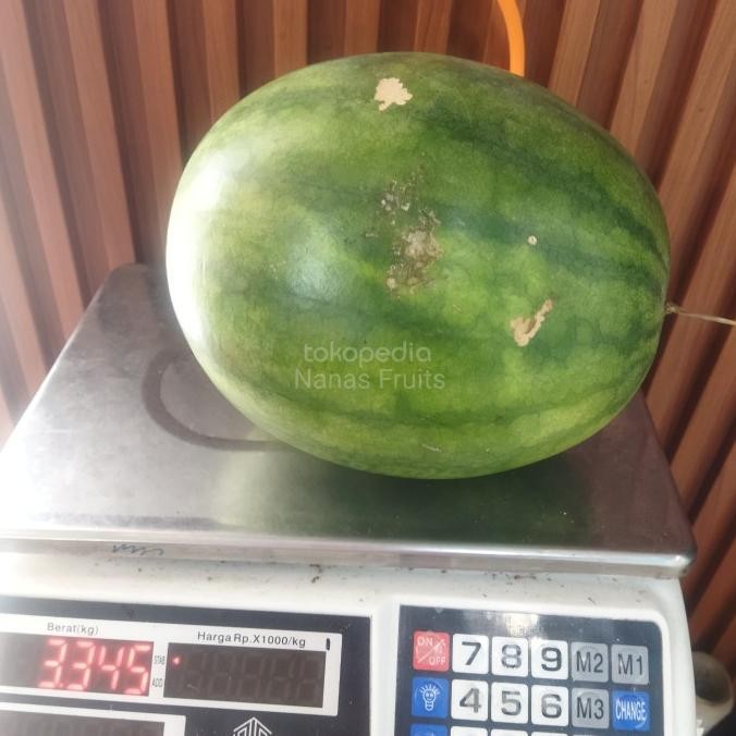 

Sale Semangka Merah Non Biji