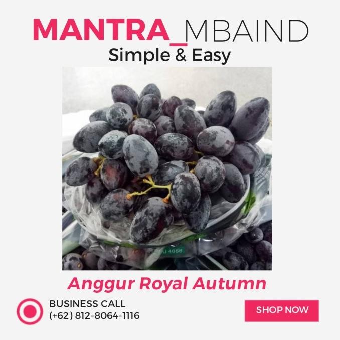 

Grosir Anggur Royal Autumn