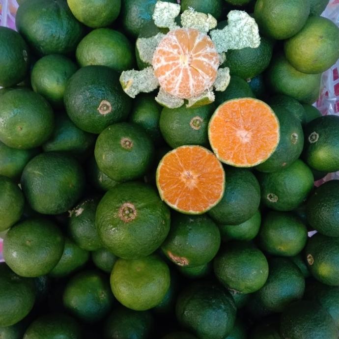 

Promo Jeruk Santang Daun & Santang Madu Per Kg