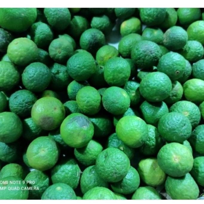 

Murah Jeruk Limo / Limau Segar