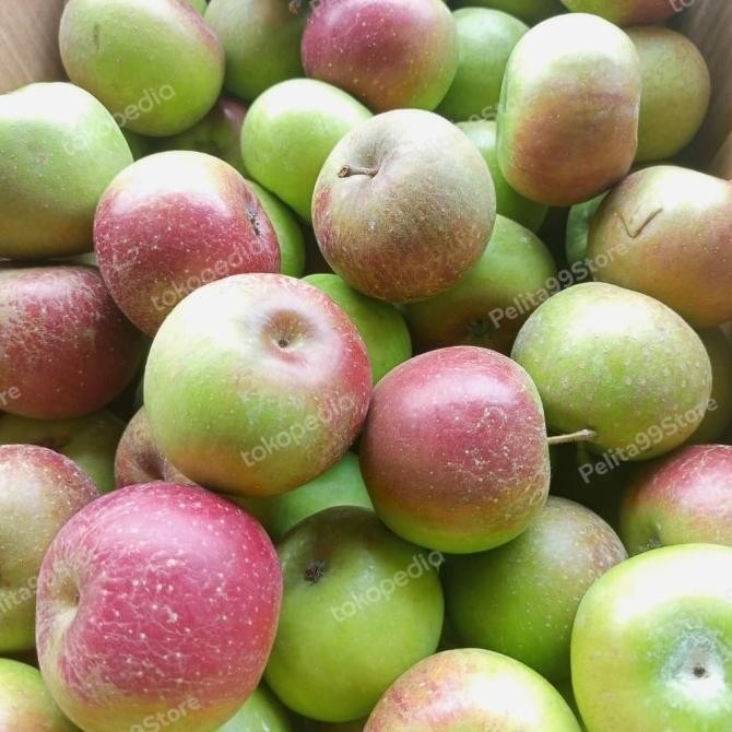 

Grosir Apel Malang Super Premium