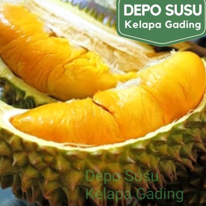 

Promo Durian Beku Motong Palu | Musang King | Malaysia Duren Monthong Mochi
