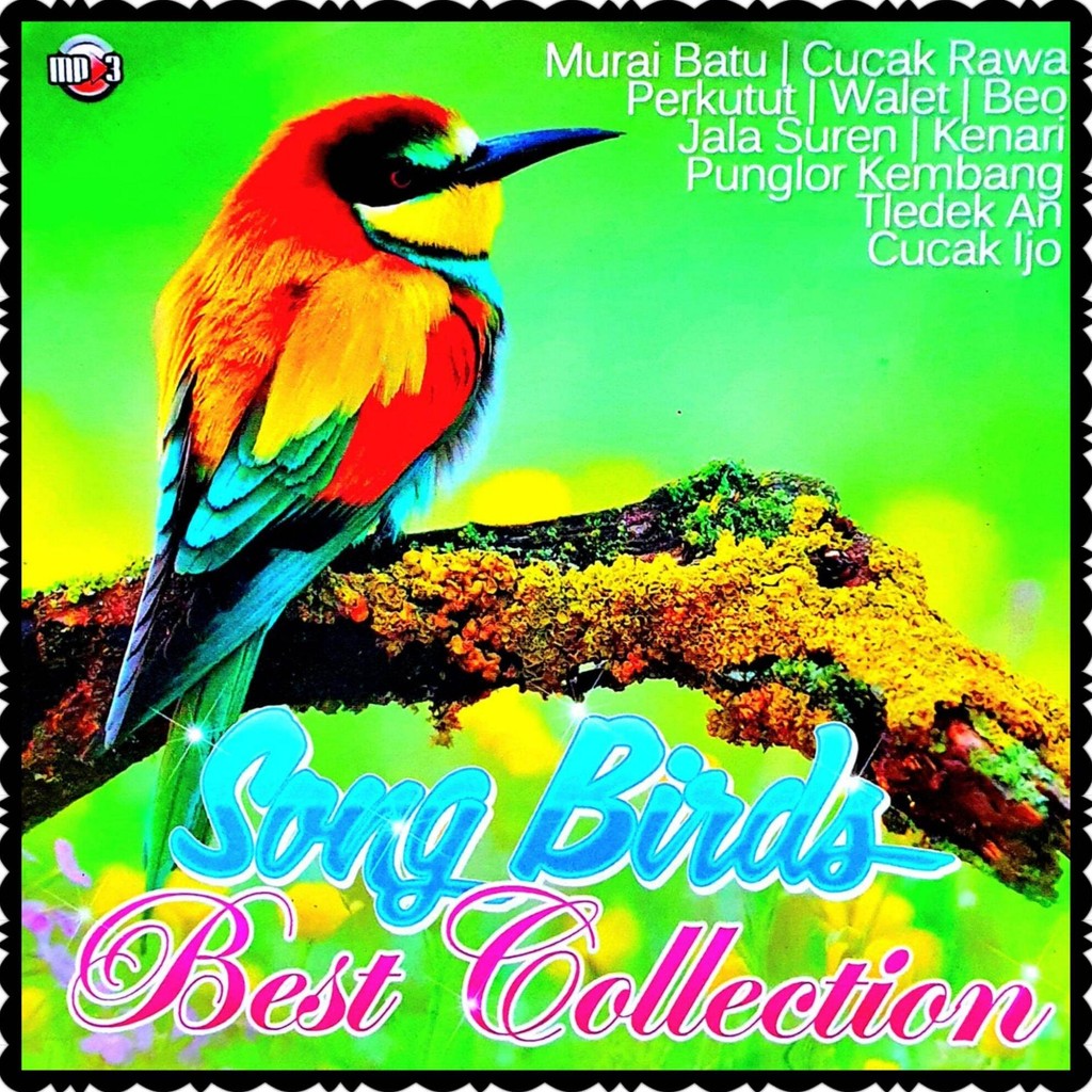 DVD CD MP3 SUARA BURUNG-SUARA BURUNG-SUARA BURUNG MURAI-SUARA BURUNG MP3-SUARA BURUNG WALET ASLI-SUA