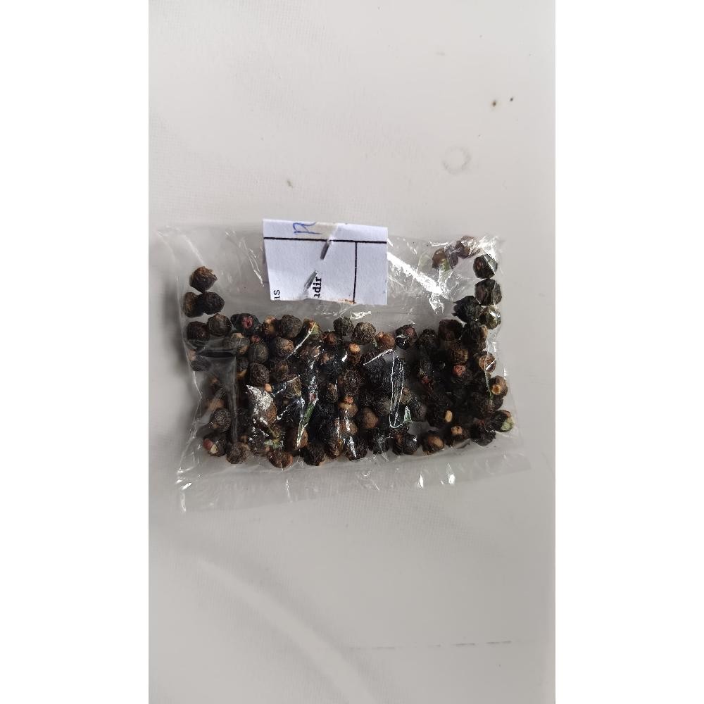 

Biji Angkung Kering Buah Angkung Kering isi 100Biji BERKUALITAS