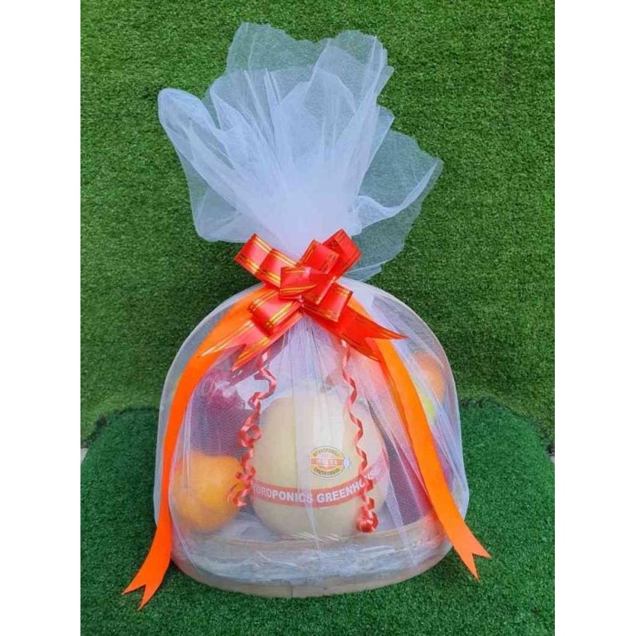 

Promo Duta Buah Parcel Buah C