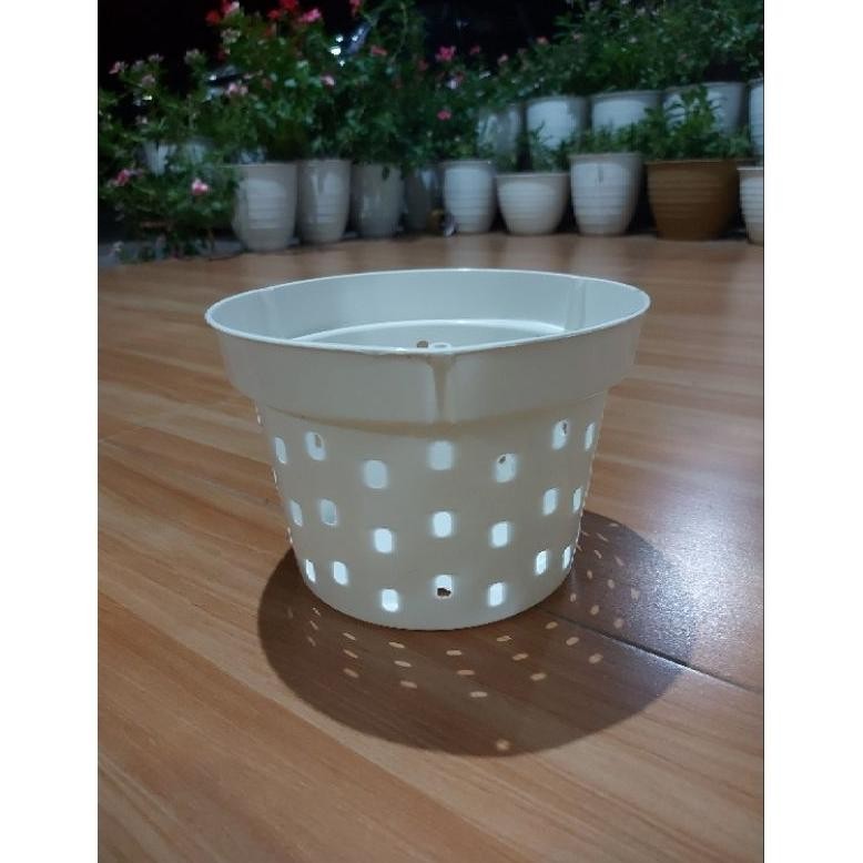 Pot Dendro 20 (LUSINAN )Anggrek Lubang Banyak Pot Plastik Pot Gantung Anggrek