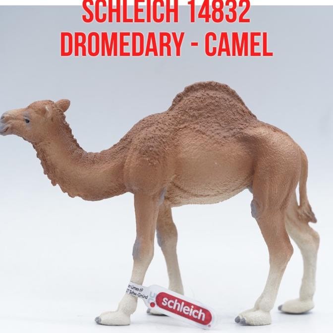 Schleich Dromedary 14832 Unta Arab Onta Satu Punuk One Hump Camel Camelus Dromedarius Mainan Anak An