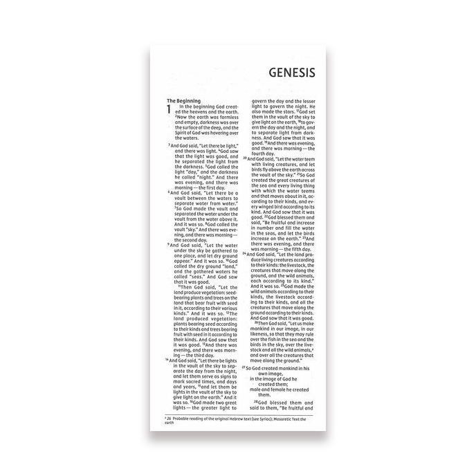 

NIV Pocket Thinline Bible, Comfort Print--soft leather-look murah