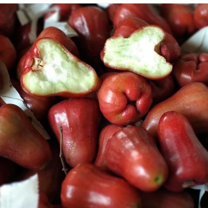 

TERSEDIA buah jambu air citra super 1 kg fresh