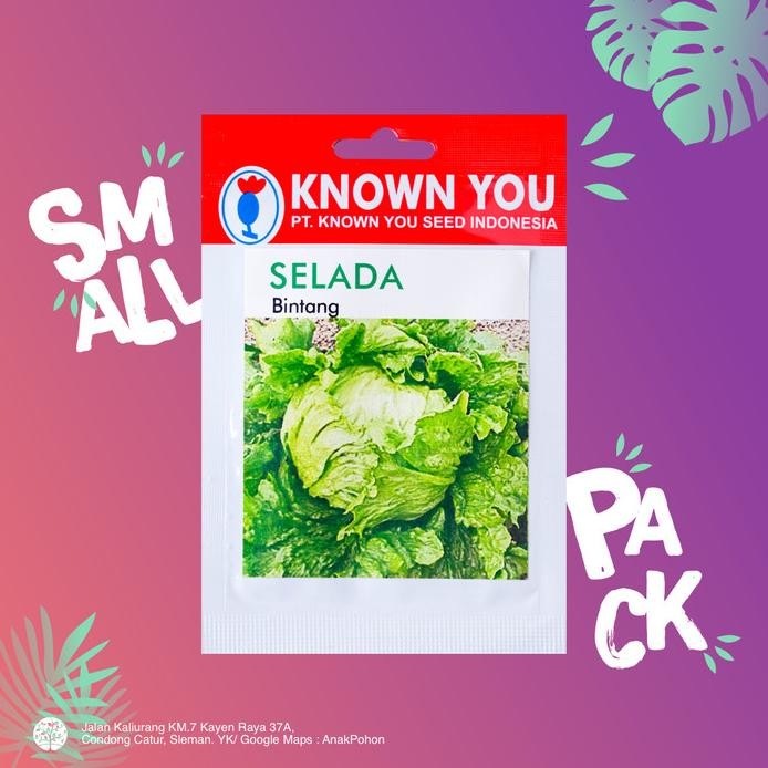 (1 PACK) Benih Selada Bintang Krop Head Lettuce Seeds - Known You Seed murah