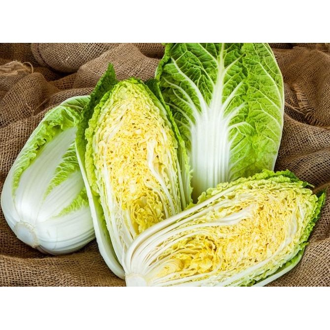 

Benih / Bibit / Biji - Sawi Putih (Chinese Cabbage) F1 Hibrida murah
