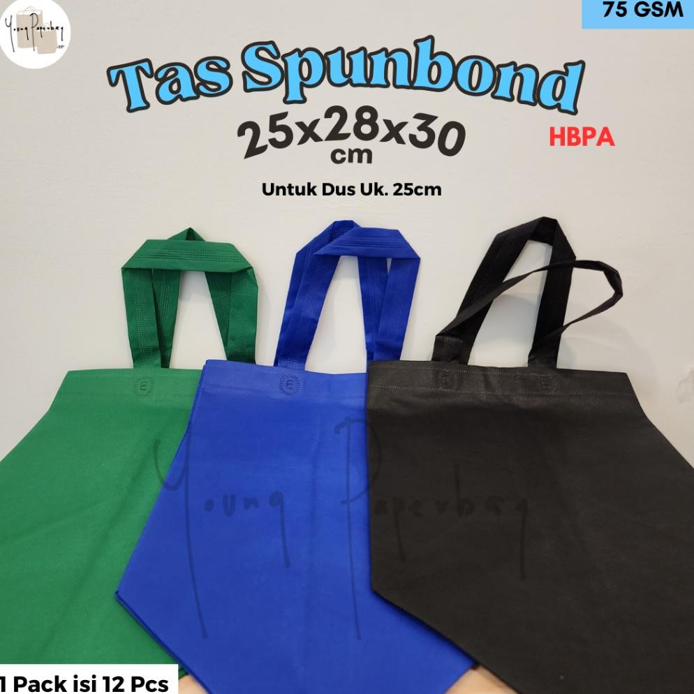 

Ter-46 Tas Kain Spunbond Goodie Bag Hbpa Box 25 Uk. 25X28X30 (1 Lsn)