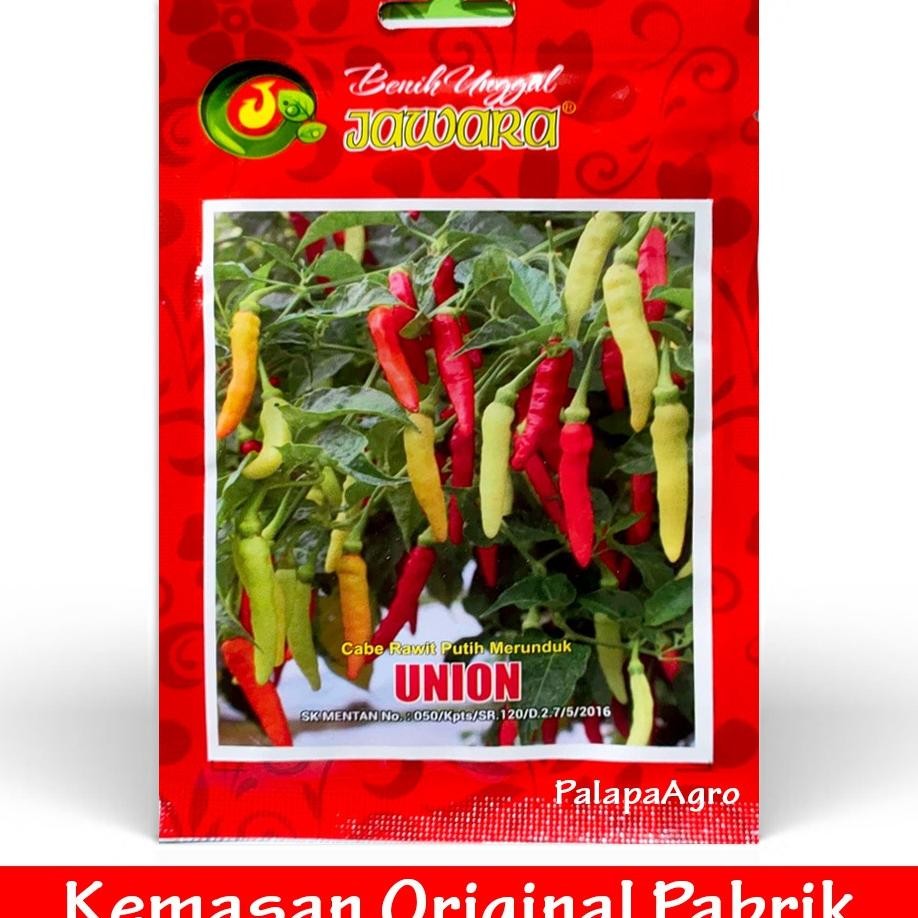 Ii 10Gram Benih Unggul Cabe Rawit Putih Unggul Union Bibit Cabe Rawit Tahan Piru