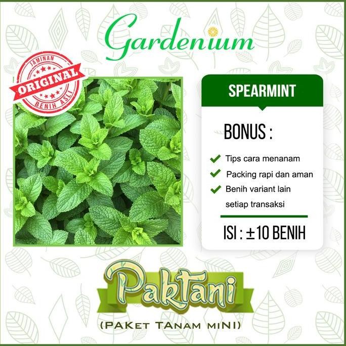

Terlaris 10 Benih Spearmint Tanaman Mint Herbal Paktani