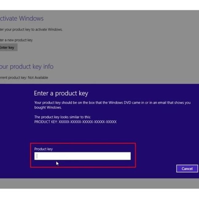 Windows 8.1 Original License Lisensi Key
