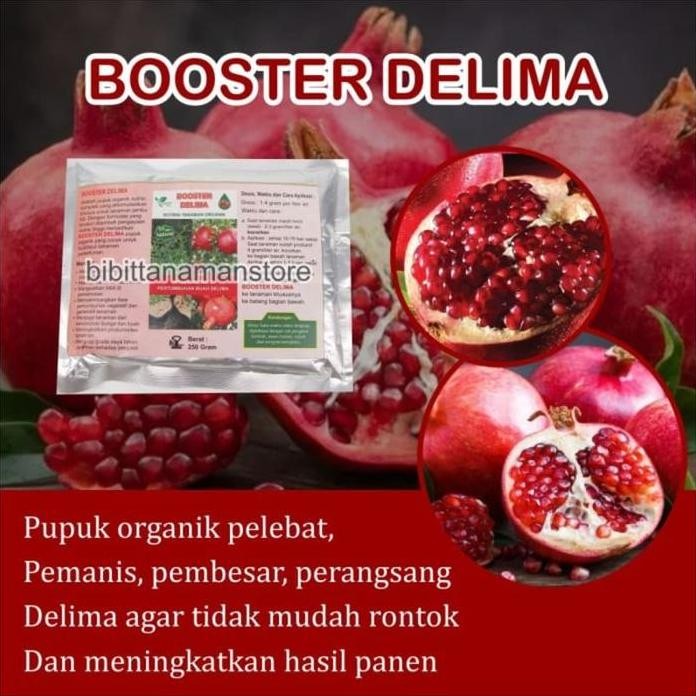 

Terlaris Pupuk Organik Pelebat Buah Dan Booster Delima Cepat Berbuah Lebat