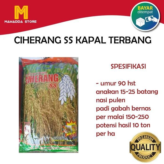

Terlaris Benih Padi Ciherang Ss Kapal Terbang
