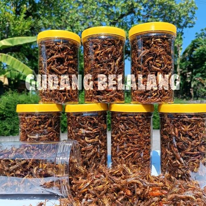 

Terlaris Belalang Goreng Kecil Walang Goreng Utis (Padi) Kemasan Toples Sosis Berat 210 Gram 4 Varian Rasa Cemilan Rendah Lemak Snack Food Bawang Camilan Makanan