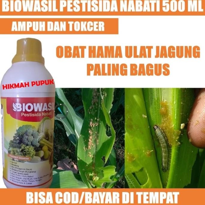 

Terlaris Terlaris Biowasil Membasmi Sundep Dan Beluk Padi, Obat Beluk Pada Tanaman Padi Paling Ampuh