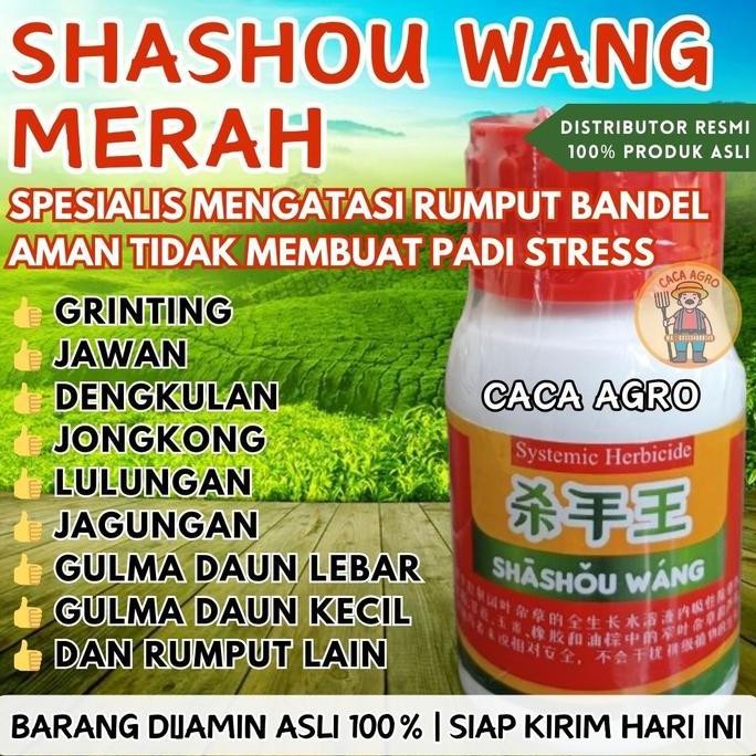 

Terlaris Shashouwang Merah Herbisida Racun Rumput Bandel Paling Ampuh Basmi Grinting, Jawan Dan Rumput Lainnya Sampai Akar Pada Padi