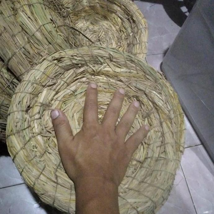 

Terlaris Sarang Bertelur Ayam Tarangan Ukuran Besar Dari Jerami Padi