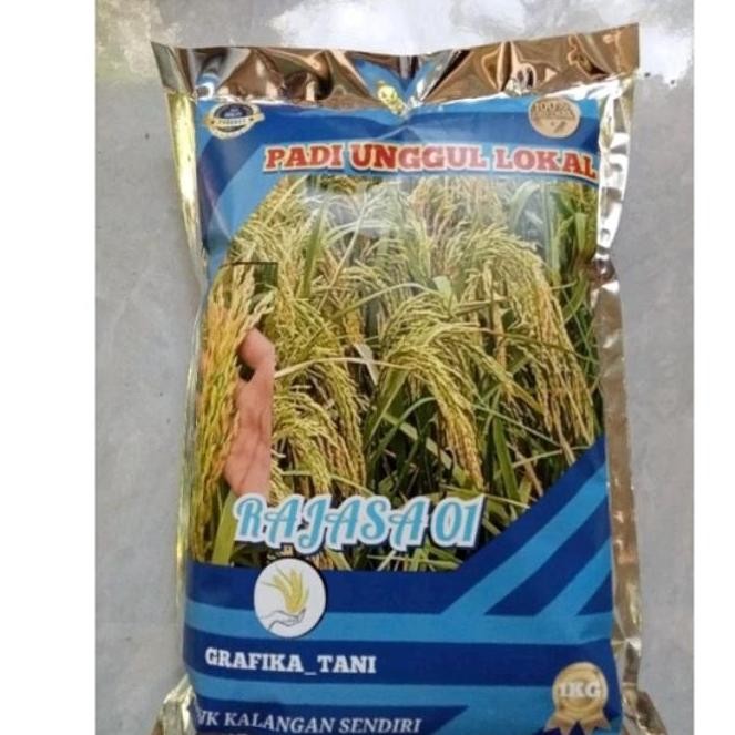 

Terlaris Benih Padi Unggul Rajasa 01