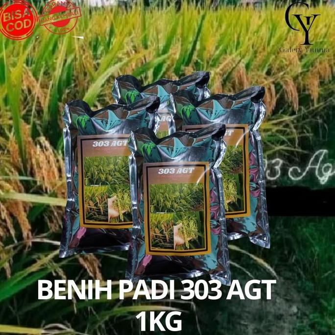 

Terlaris Benih Padi 303 Agt Kemasan 1 Kg