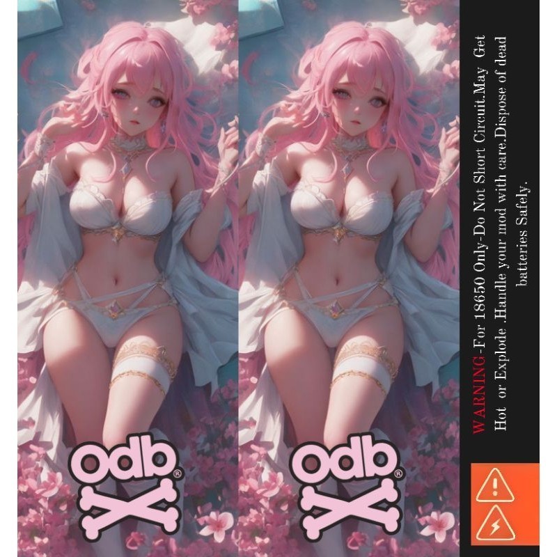 

Get2pcs Ambitionstore Stiker Wrap Baterai 18650 Anime V5 Series Pelindung Dan Penghias Untuk Segala Merek 27 Garskin Casing Motif Bisa Custom Bayar Ditempat