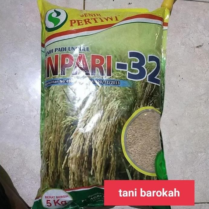 

Terlaris Benih Padi Unggul Pertiwi Inpari 32 Kemasan 5Kg