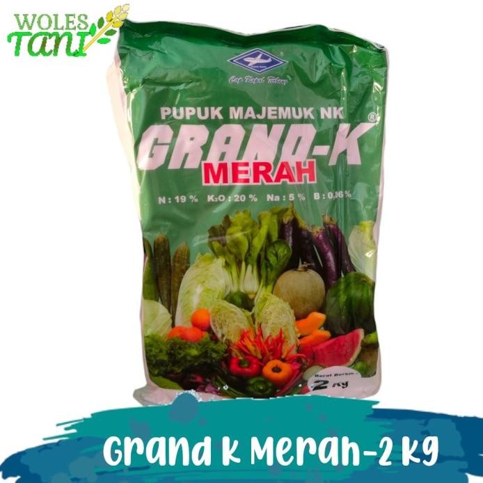 

Terlaris Grand K Merah 2 Kg Pupuk Penambah Bobot Padi