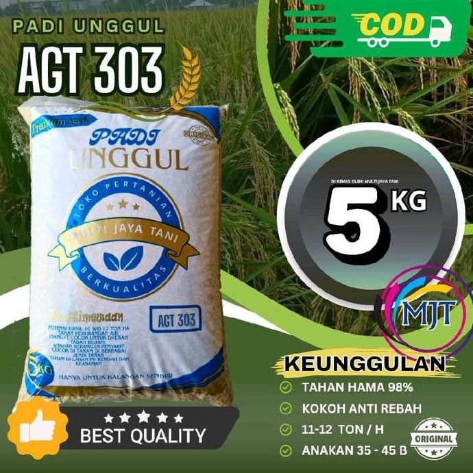 

Terlaris Benih Padi Unggul Agt 303 Terbaru, 5Kg - Galur 303, 85-90 Hst, 25-30 Batang, 300-500/Malai
