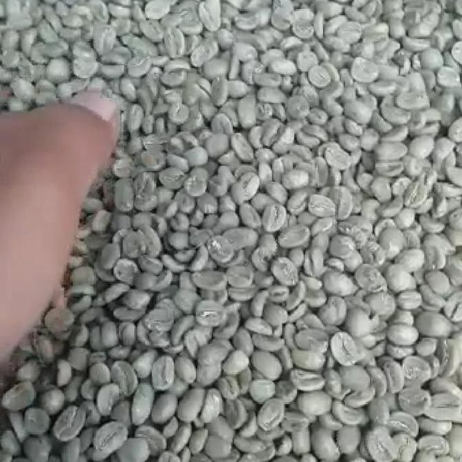 

ready stock Green Bean / Arabika Solok Radjo - Proses Dryhull