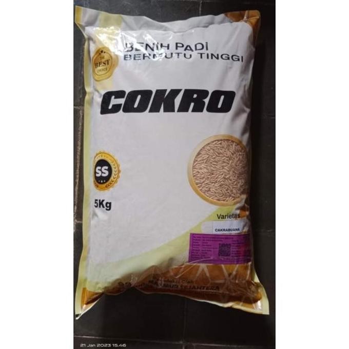 

Terlaris Benih Padi Cakrabuana Kemasan 5Kg