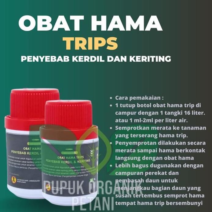 

Terlaris Insektisida Obat Hama Cair Kontak Pembasmi Wereng Kutu Daun Trips Penyebab Kerdil Dan Keriting Tanaman Cabe Cabai Padi Semangka