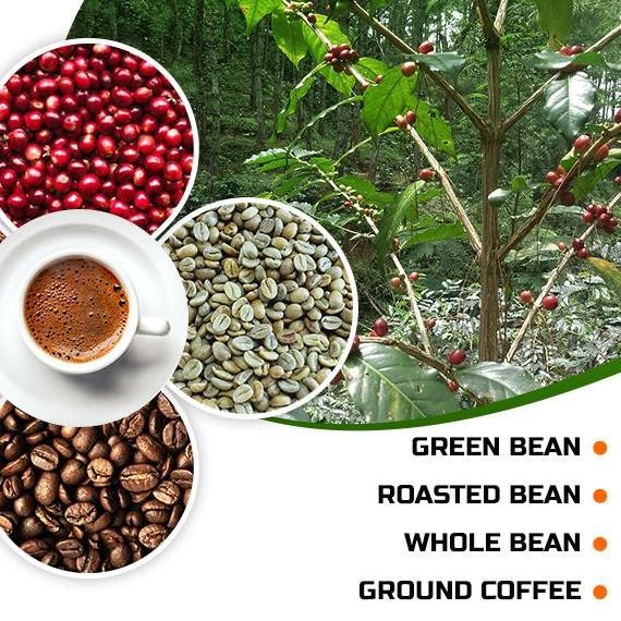 

ready stock ARABICA GUNUNGHALU - ROASTBEAN - WINE PROCESS - 500 gram