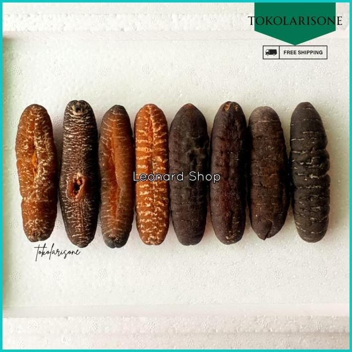 

HAISOM BELITUNG BESAR SUPER / TERIPANG / GAMAT KERING OBAT SEACUCUMBER