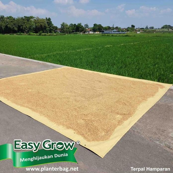 

Terlaris Easy Grow Terpal Hamparan Jemur Padi & Hasil Panen