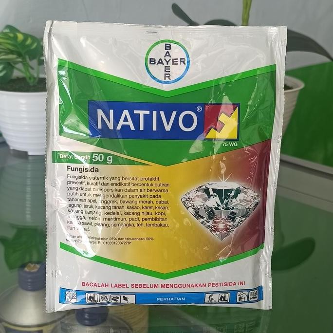 

Terlaris Fungisida Nativo Nativo Obat Jamur Potong Leher Blast Padi Bin