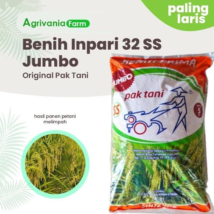 

Terlaris Biji Benih Padi Inpari 32 Ss Jumbo Terbaik Original Cod Gratis Ongkir