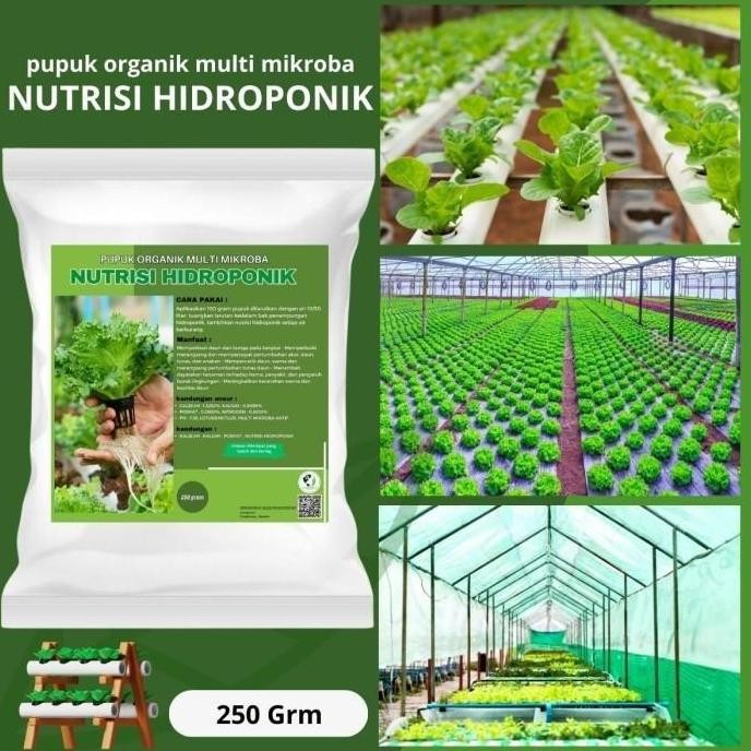 

Terlaris Pupuk Organik Nutrisi Hidroponik Sayuran Agar Cepat Tumbuh Daun Tanaman Bunga Bunga Kalium