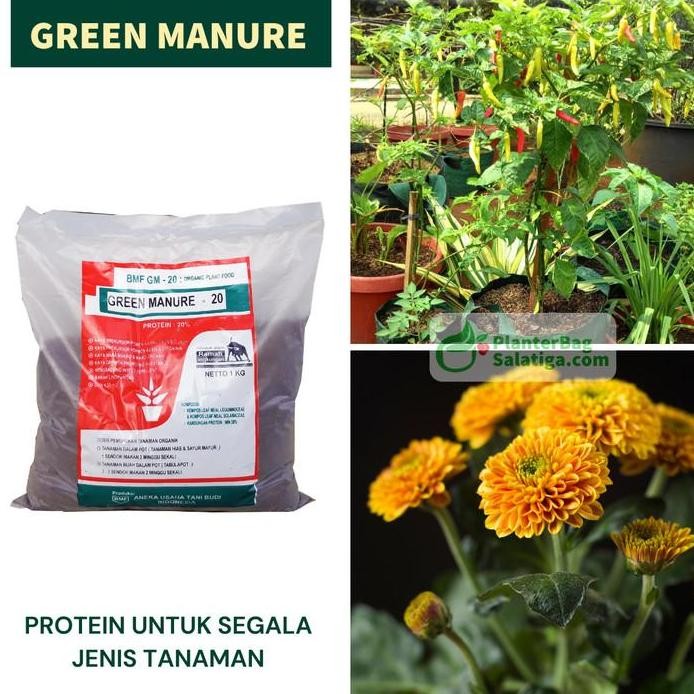 

Terlaris Pupuk Organik Tanaman Gantung Green Manure 1 Kg Nutrisi Siap Pakai