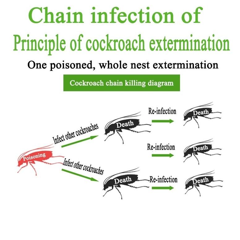 WK SHINE STAR - Racun Kecoa Super Ampuh Mati - Pembasmi Kecoa - Perangkap Kecoa -Racun Pembasmi Keco