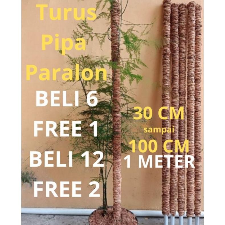 Bisa Cod Turus Penyangga Tanaman Penopang Ajir Tongkat Tiang 30 40 50 100 Cm Bunga Menjalar Janda Bo