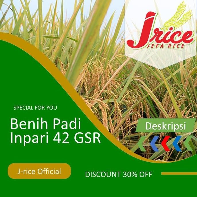 

Terlaris Benih Padi Inpari 42 Bibit Padi Unggul