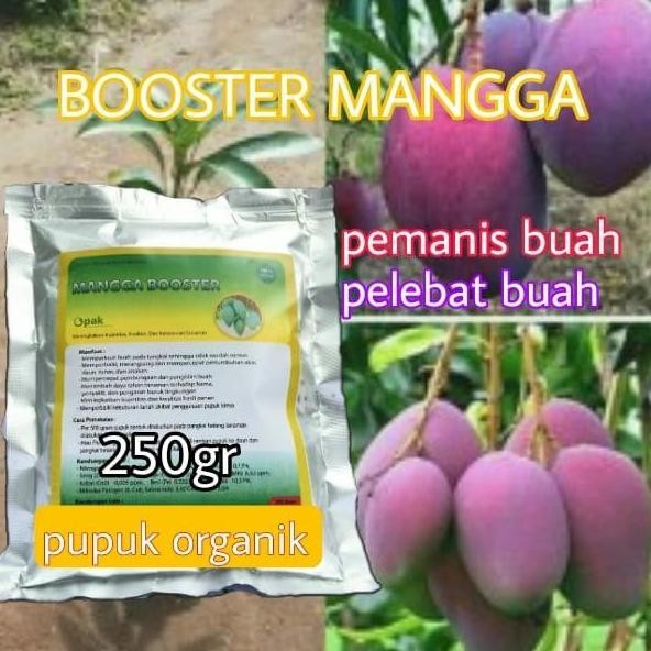 

Terlaris Booster Buah Mangga**Pupuk Organik Pemacu Buah Mangga Cepat Berbuah