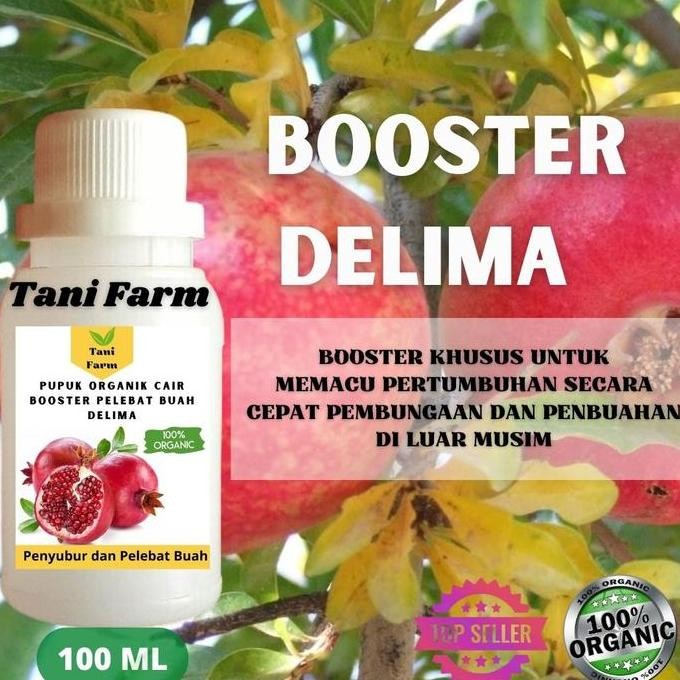 

Terlaris Pupuk Delima Booster Cair Organik Pelebat Buah Delima 100 Ml