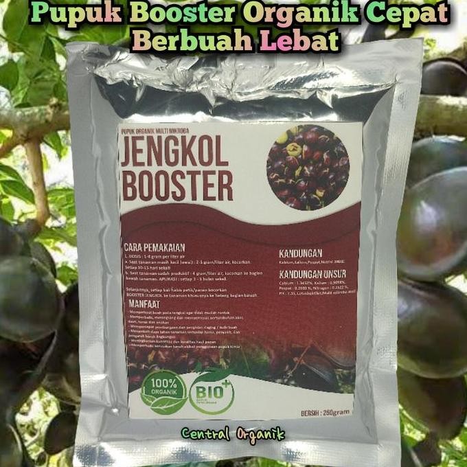 

Terlaris Pupuk Jengkol Cepat Berbuah Lebat Pupuk Booster Jengkol Organik