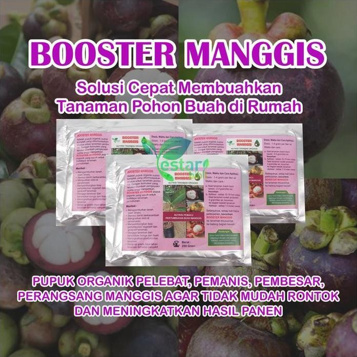 

Terlaris Pupuk Organik Booster Manggis Agar Cepat Berbuah